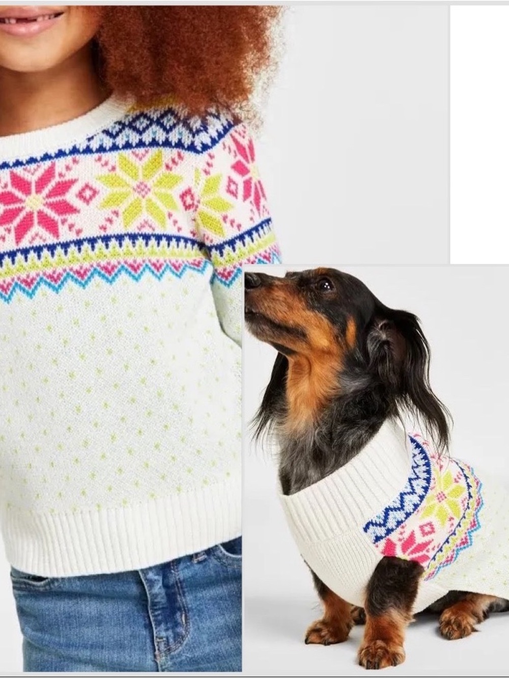 Holiday Lane Girls Fair Isle Snowflake Sweater Matching Pet Sweater